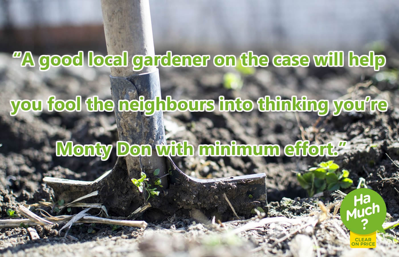 A good local gardener on the case will help you fool the neighbour into thinking you're Monty Don with minimum effort