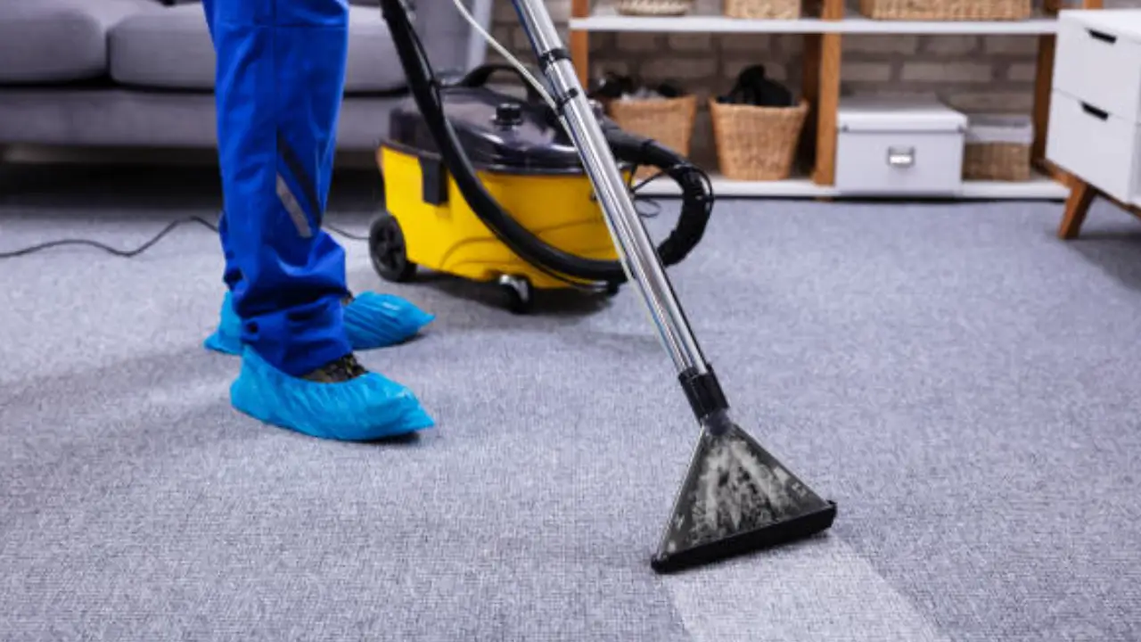 Estimates for upholstery cleaning near Darnley