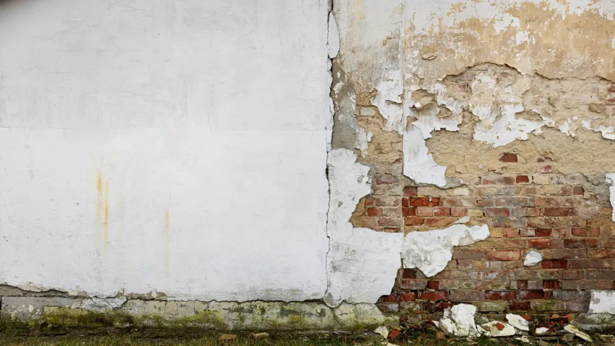 Damp proofing cost