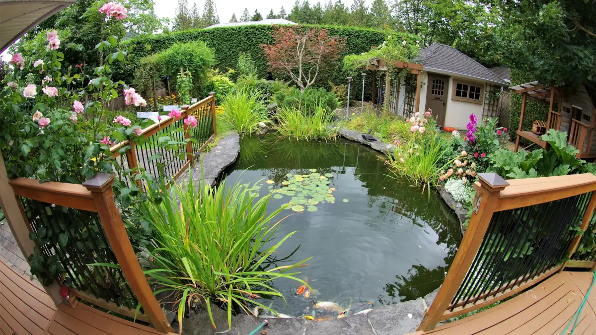 Estimates for garden pond near West Dunbartonshire