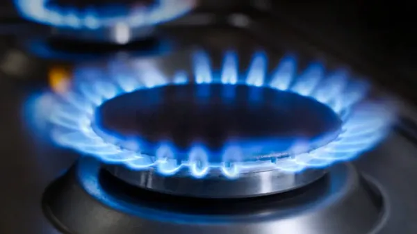 gas hob ring alight with blue flame