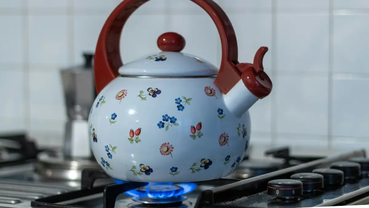 Need a Landlord gas safety certificate cost