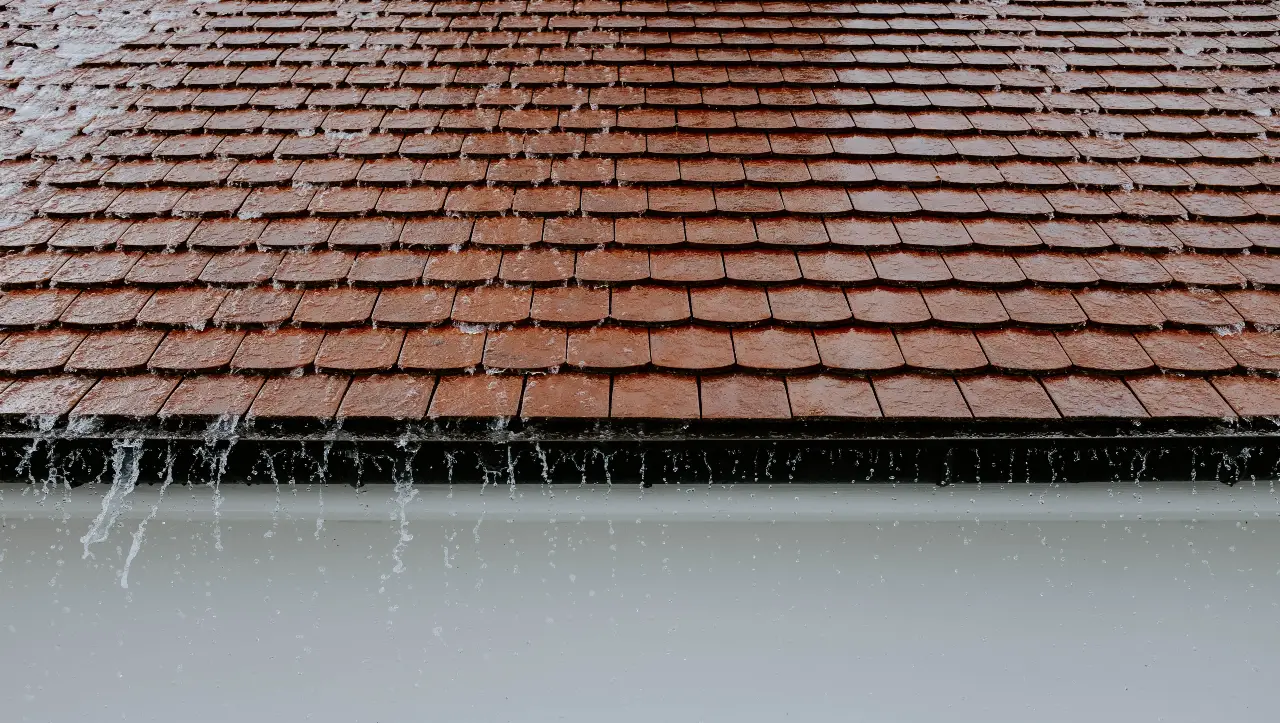 Estimates for repair a leaky roof near Orkney