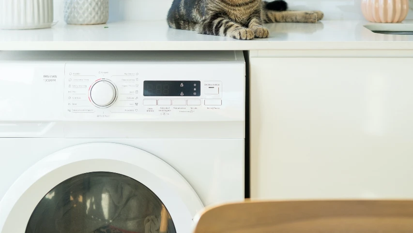 Estimates for install a washing machine near Burpham