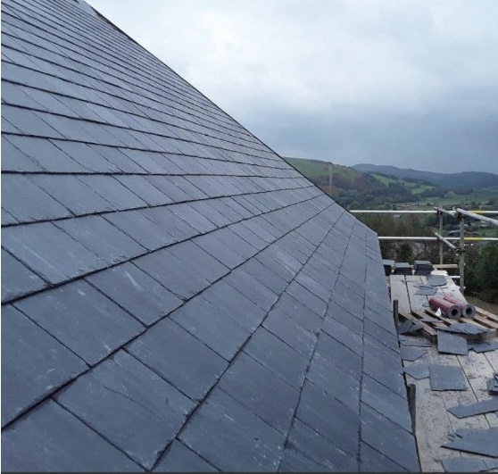 Roofer: Image 3